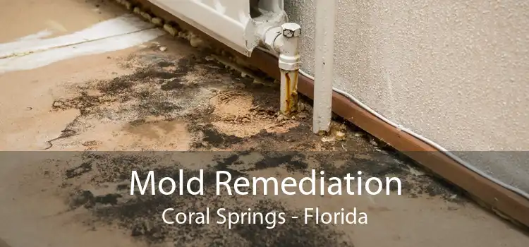 Mold Remediation Coral Springs - Florida