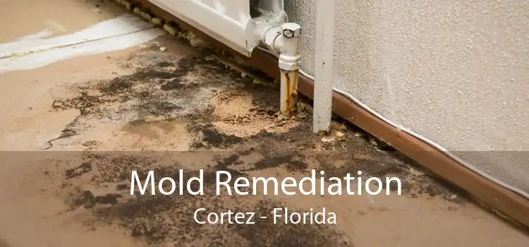 Mold Remediation Cortez - Florida
