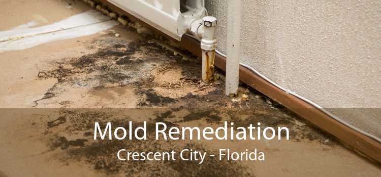 Mold Remediation Crescent City - Florida