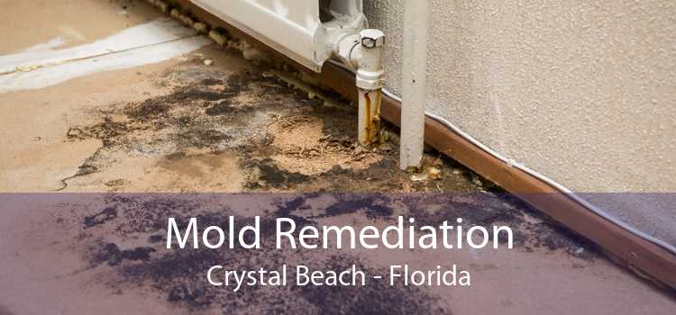 Mold Remediation Crystal Beach - Florida
