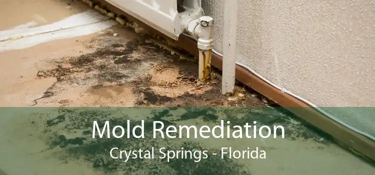 Mold Remediation Crystal Springs - Florida