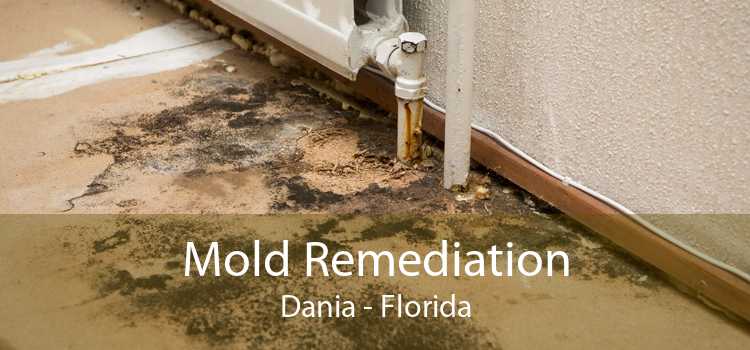 Mold Remediation Dania - Florida
