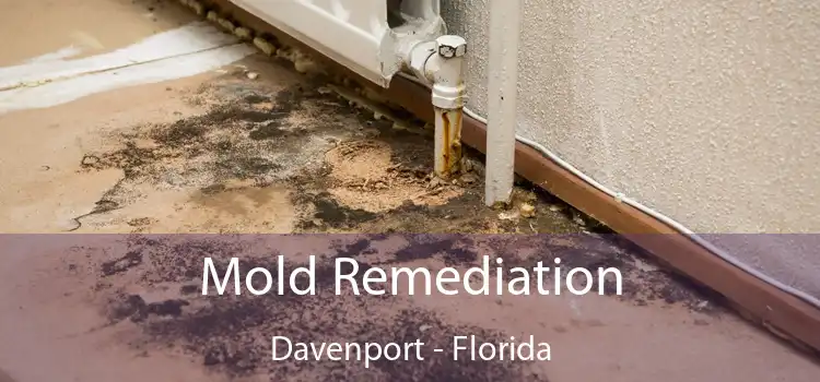 Mold Remediation Davenport - Florida