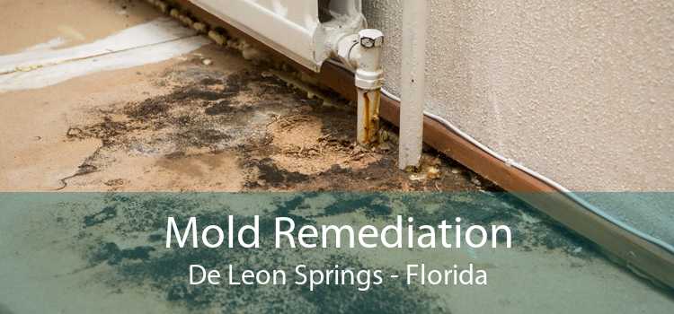 Mold Remediation De Leon Springs - Florida