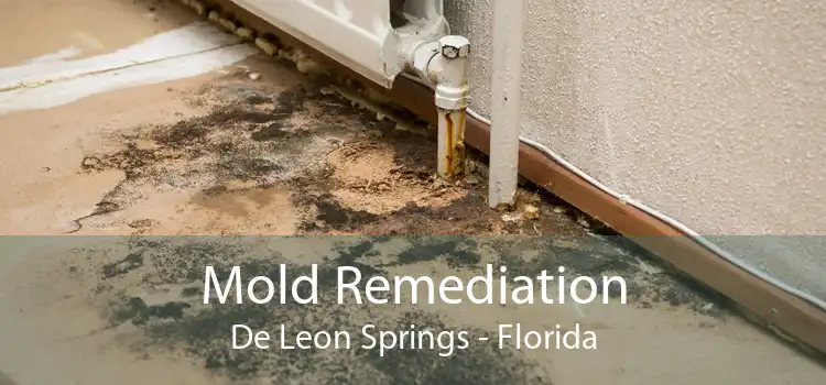 Mold Remediation De Leon Springs - Florida