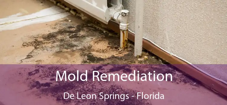 Mold Remediation De Leon Springs - Florida