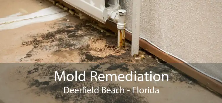 Mold Remediation Deerfield Beach - Florida