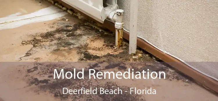 Mold Remediation Deerfield Beach - Florida