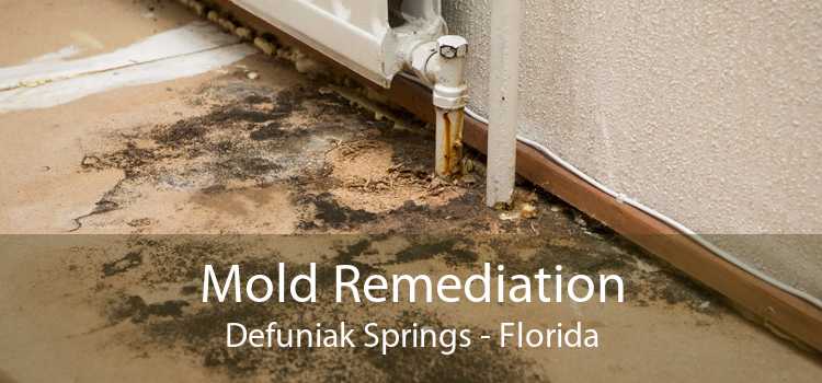Mold Remediation Defuniak Springs - Florida