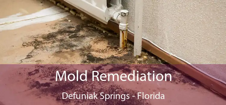 Mold Remediation Defuniak Springs - Florida