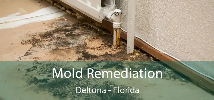 Mold Remediation Deltona - Florida