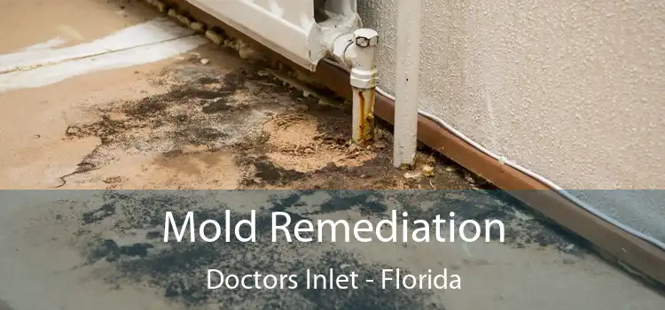 Mold Remediation Doctors Inlet - Florida