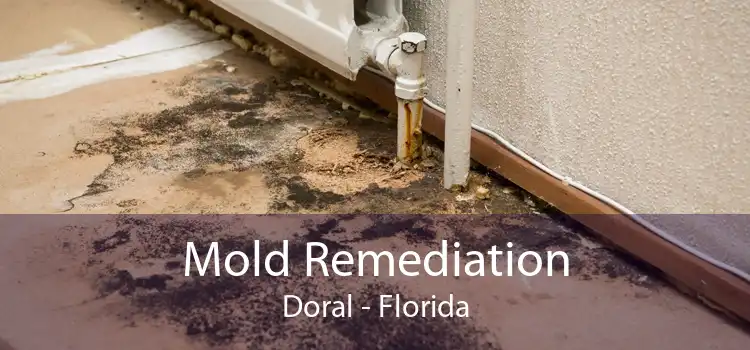 Mold Remediation Doral - Florida