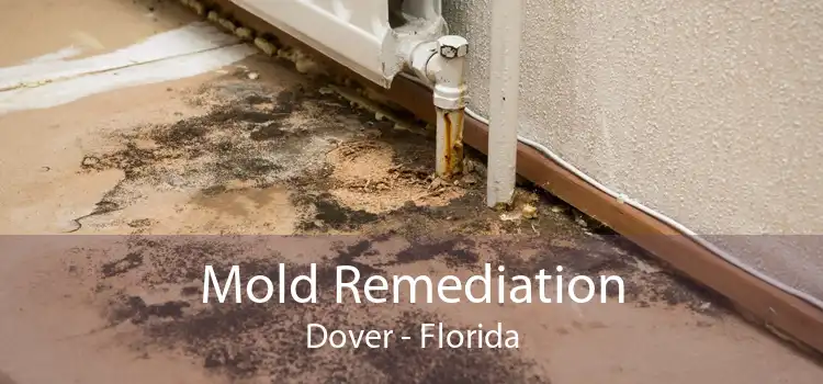 Mold Remediation Dover - Florida