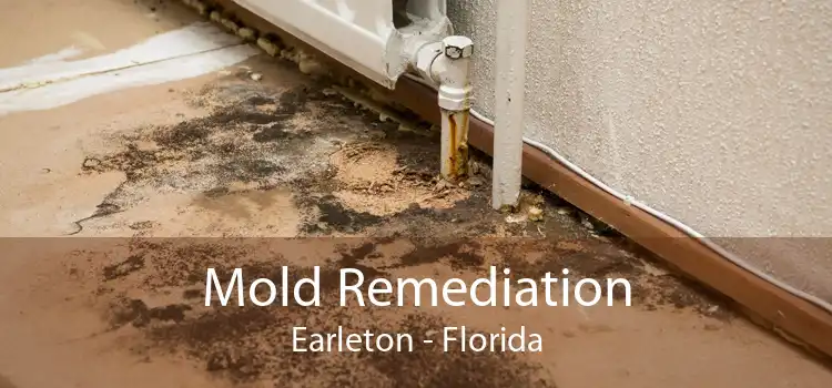 Mold Remediation Earleton - Florida