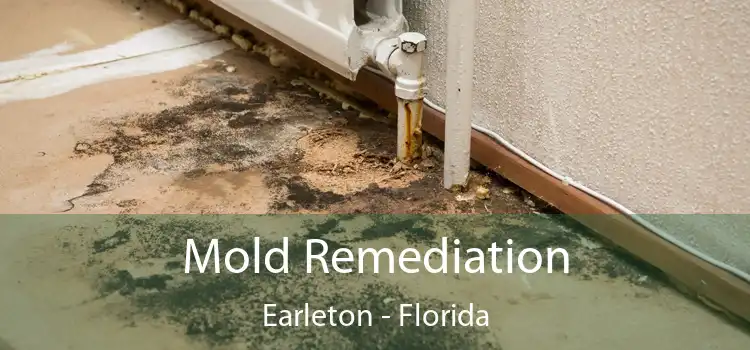 Mold Remediation Earleton - Florida