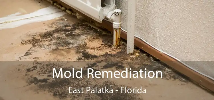 Mold Remediation East Palatka - Florida