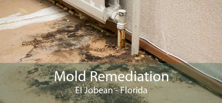 Mold Remediation El Jobean - Florida