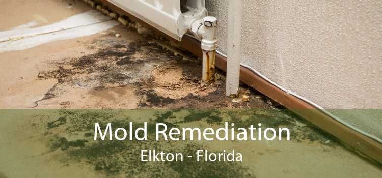 Mold Remediation Elkton - Florida