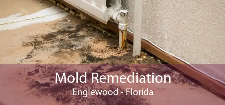 Mold Remediation Englewood - Florida