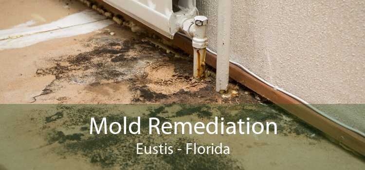 Mold Remediation Eustis - Florida