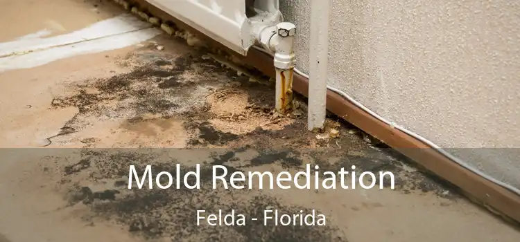 Mold Remediation Felda - Florida