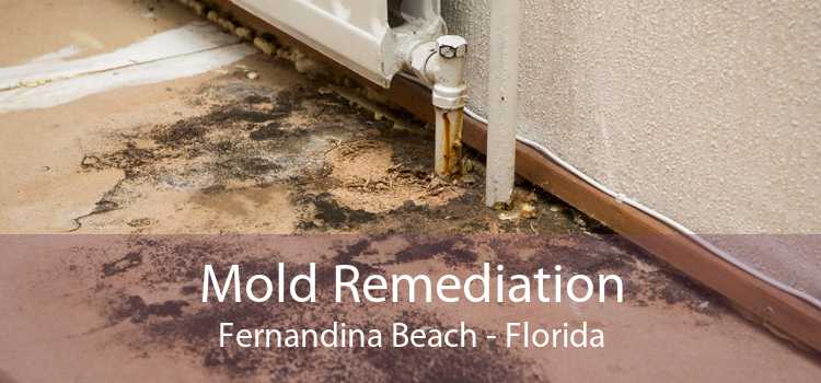 Mold Remediation Fernandina Beach - Florida