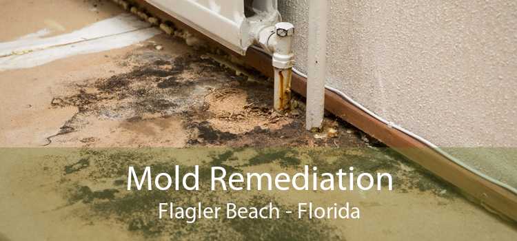 Mold Remediation Flagler Beach - Florida