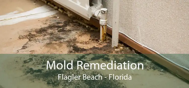 Mold Remediation Flagler Beach - Florida