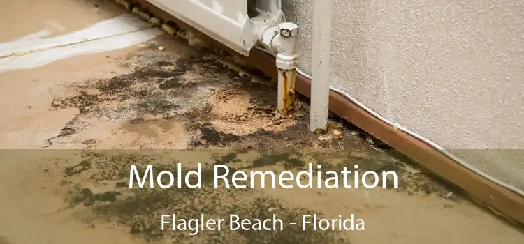 Mold Remediation Flagler Beach - Florida