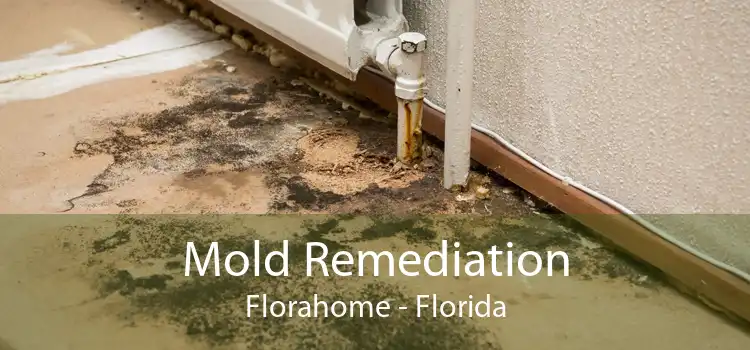 Mold Remediation Florahome - Florida