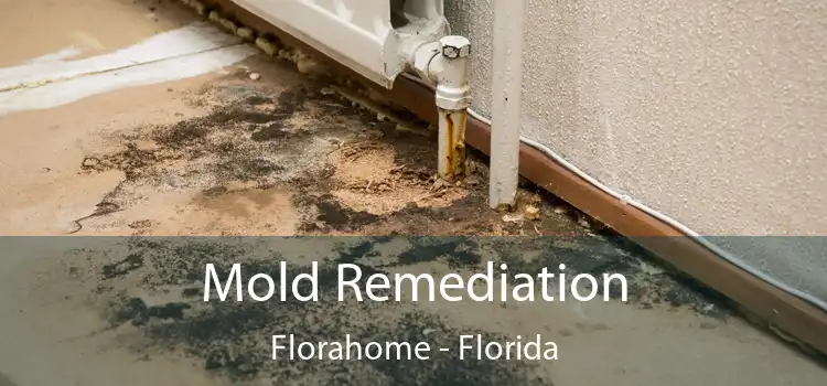 Mold Remediation Florahome - Florida