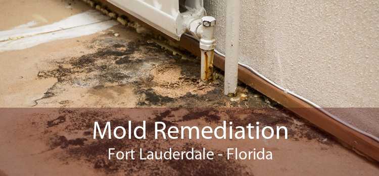 Mold Remediation Fort Lauderdale - Florida