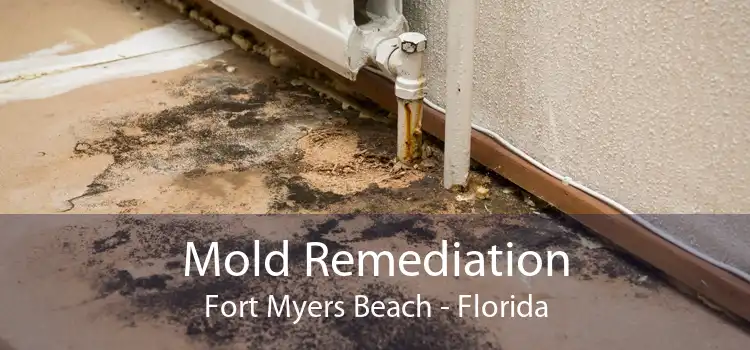 Mold Remediation Fort Myers Beach - Florida