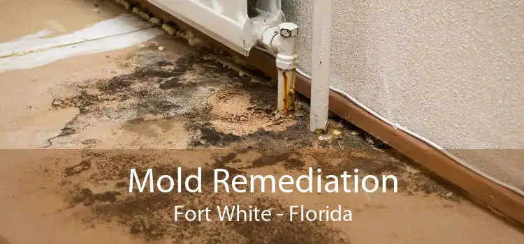 Mold Remediation Fort White - Florida