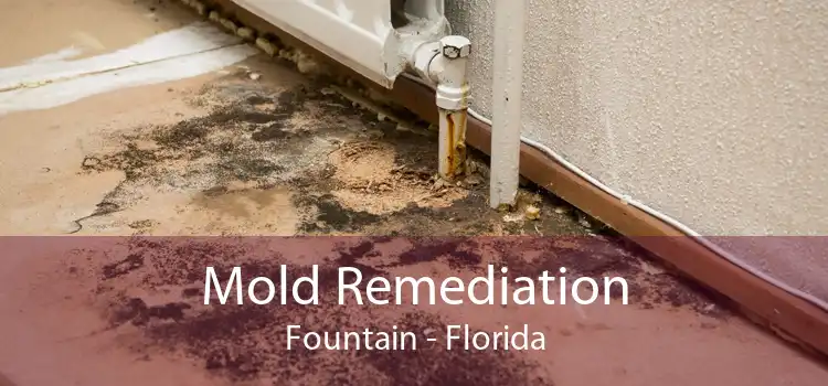 Mold Remediation Fountain - Florida