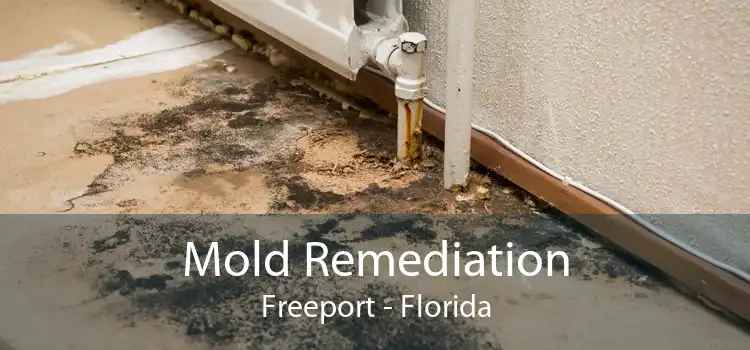 Mold Remediation Freeport - Florida