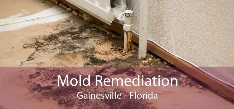 Mold Remediation Gainesville - Florida