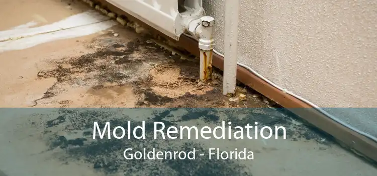 Mold Remediation Goldenrod - Florida