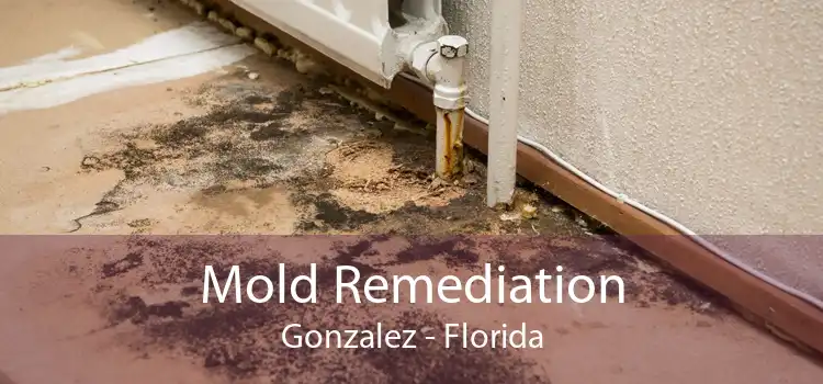Mold Remediation Gonzalez - Florida