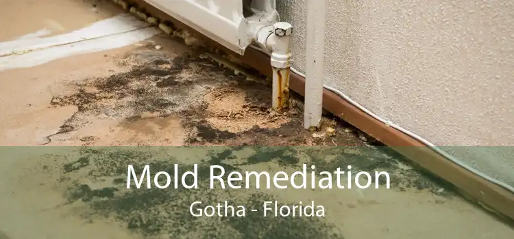 Mold Remediation Gotha - Florida