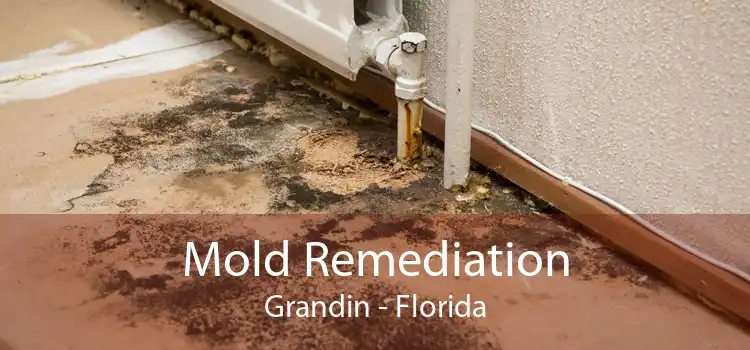 Mold Remediation Grandin - Florida
