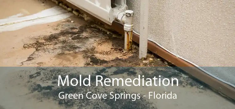 Mold Remediation Green Cove Springs - Florida