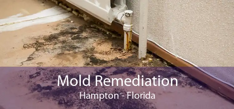 Mold Remediation Hampton - Florida