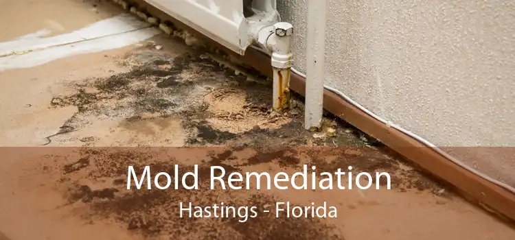 Mold Remediation Hastings - Florida
