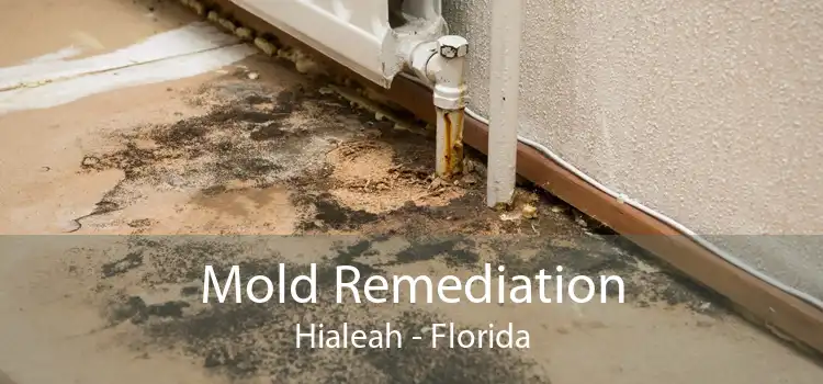 Mold Remediation Hialeah - Florida
