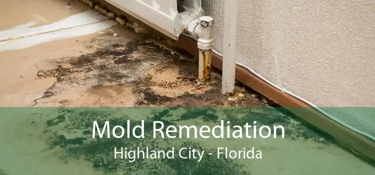 Mold Remediation Highland City - Florida