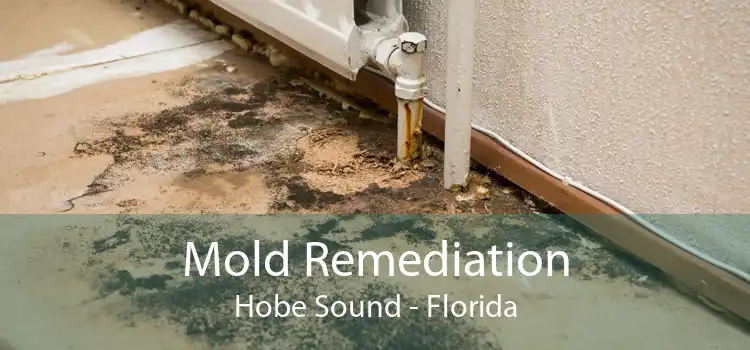 Mold Remediation Hobe Sound - Florida