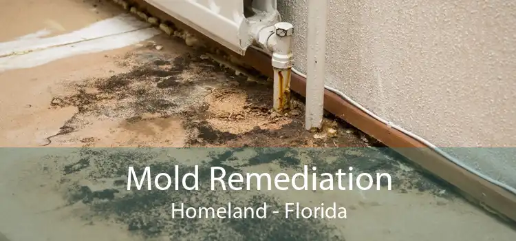 Mold Remediation Homeland - Florida