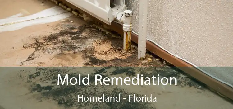 Mold Remediation Homeland - Florida